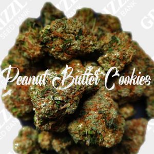Peanut Butter Cookies Feminized Seeds