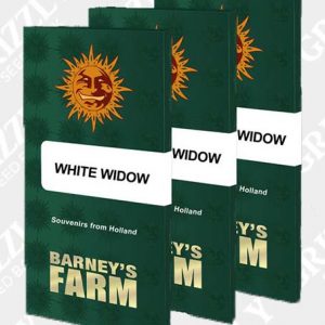 WHITE WIDOW™ Feminized Seeds