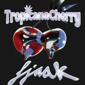 Tropicana Cherry Feminized Seeds